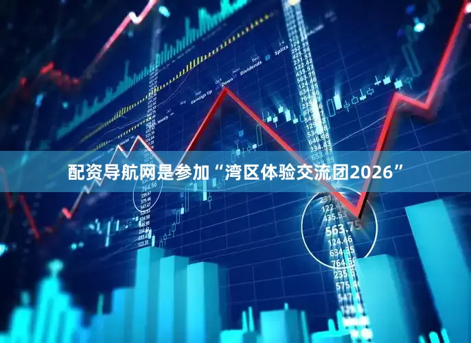 配资导航网是参加“湾区体验交流团2026”