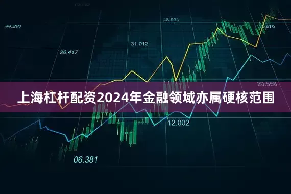 上海杠杆配资2024年金融领域亦属硬核范围